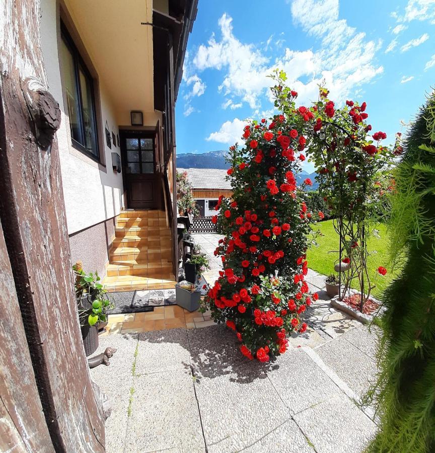 Appartment Luki Haus im Ennstal Eksteriør billede